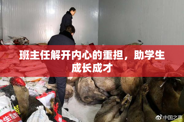 班主任解开内心的重担，助学生成长成才