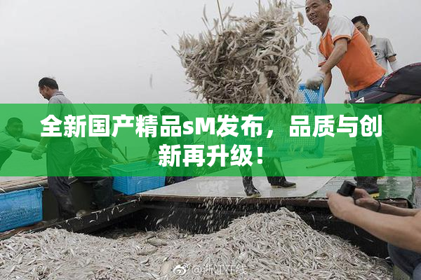 全新国产精品sM发布，品质与创新再升级！