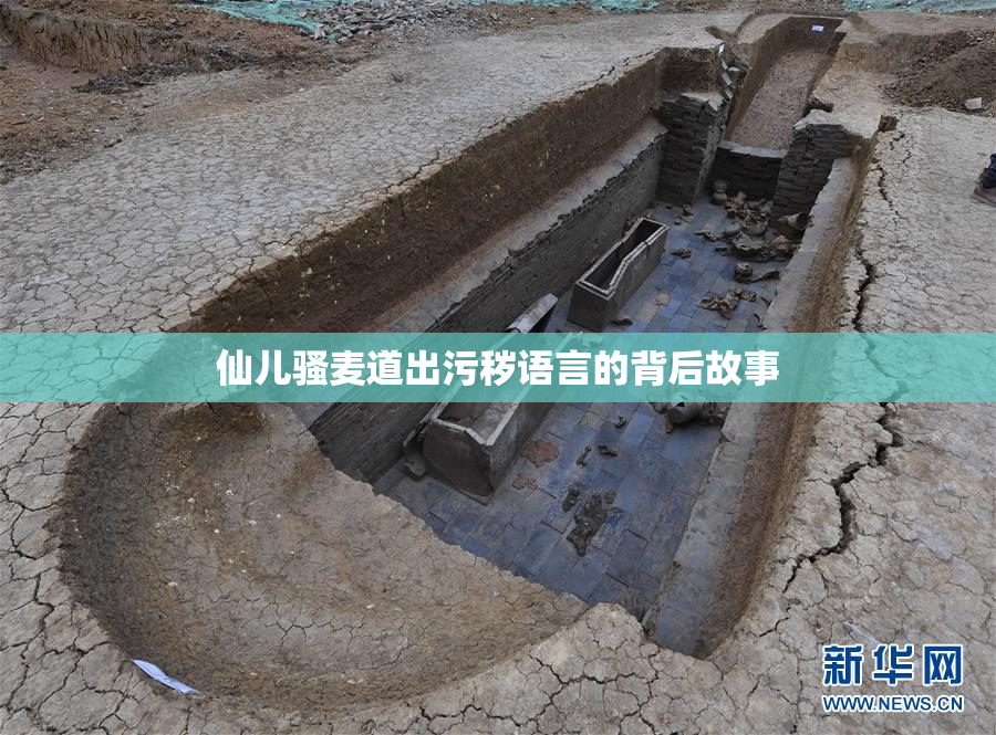 仙儿骚麦道出污秽语言的背后故事