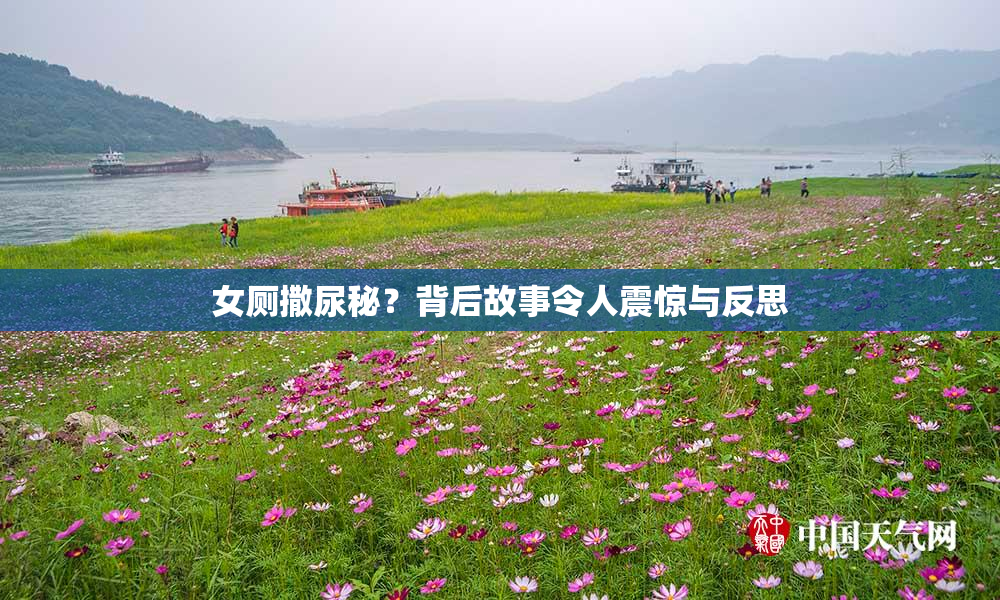 女厕撒尿秘？背后故事令人震惊与反思