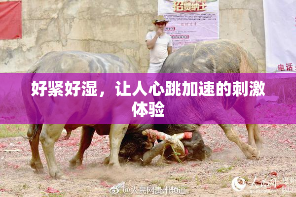 好紧好湿，让人心跳加速的刺激体验