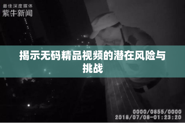 揭示无码精品视频的潜在风险与挑战