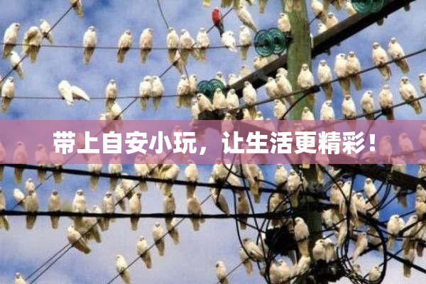 带上自安小玩，让生活更精彩！