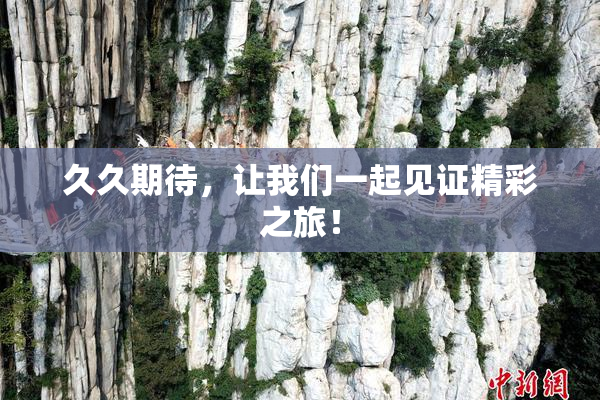 久久期待，让我们一起见证精彩之旅！