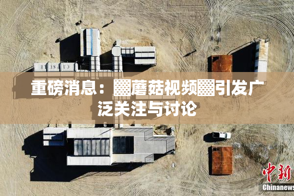 重磅消息：▓蘑菇视频▓引发广泛关注与讨论