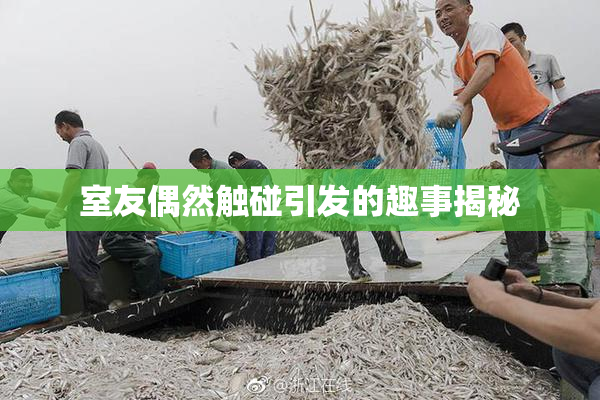 室友偶然触碰引发的趣事揭秘