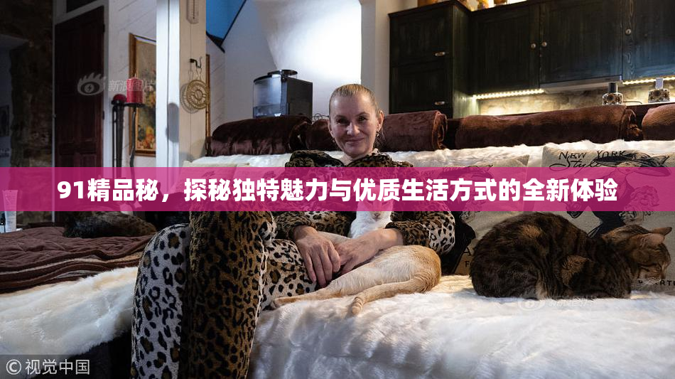 91精品秘，探秘独特魅力与优质生活方式的全新体验