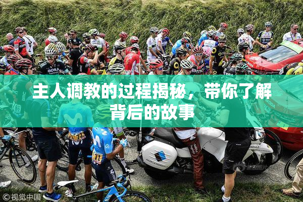 主人调教的过程揭秘，带你了解背后的故事