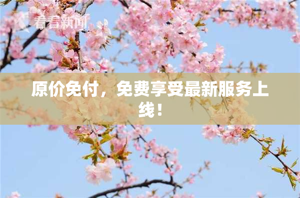 原价免付，免费享受最新服务上线！