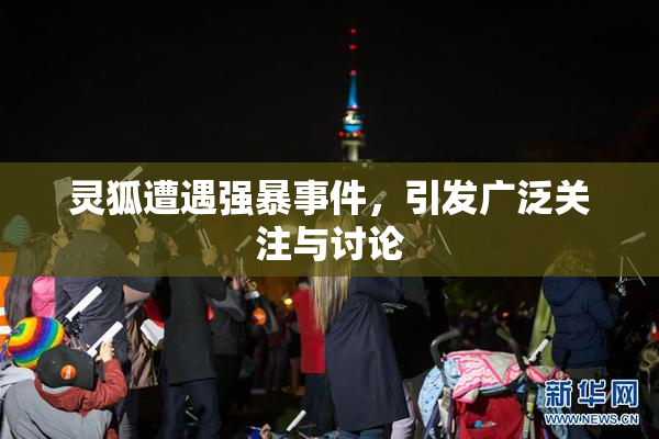 灵狐遭遇强暴事件，引发广泛关注与讨论