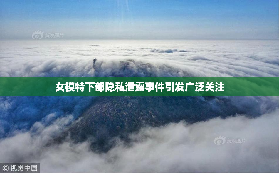 女模特下部隐私泄露事件引发广泛关注