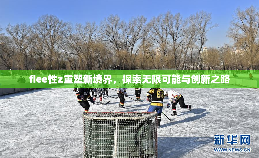 fiee性z重塑新境界，探索无限可能与创新之路