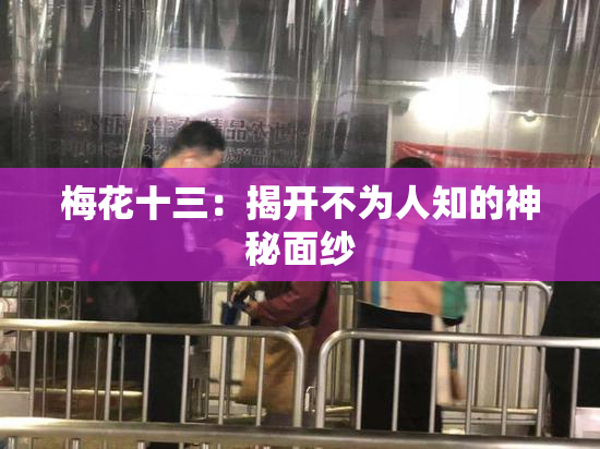 梅花十三：揭开不为人知的神秘面纱