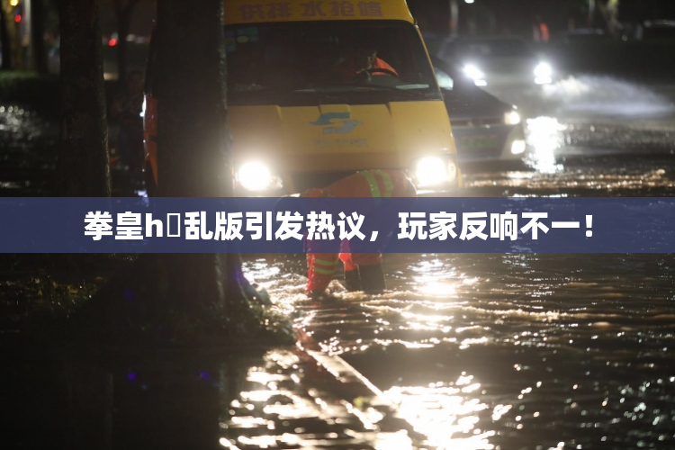 拳皇h婬乱版引发热议，玩家反响不一！
