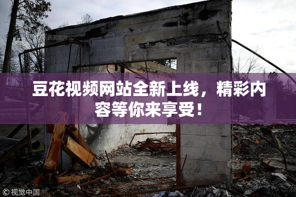 豆花视频网站全新上线，精彩内容等你来享受！