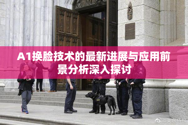 A1换脸技术的最新进展与应用前景分析深入探讨