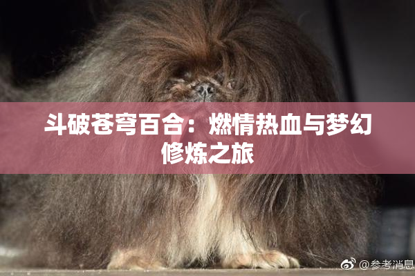 斗破苍穹百合：燃情热血与梦幻修炼之旅