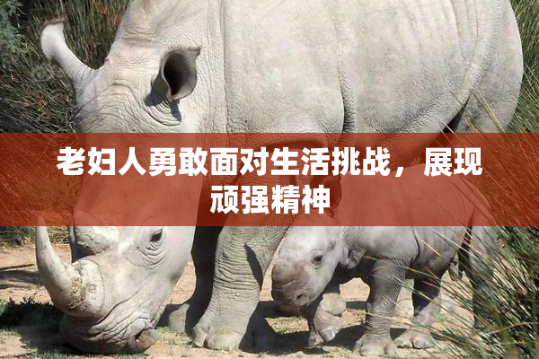 老妇人勇敢面对生活挑战，展现顽强精神