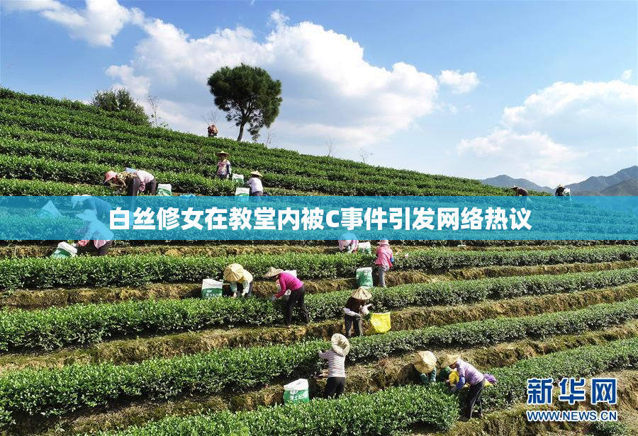 白丝修女在教堂内被C事件引发网络热议