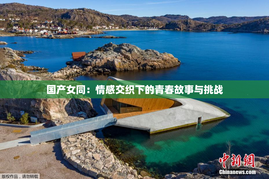 国产女同：情感交织下的青春故事与挑战