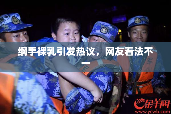 纲手裸乳引发热议，网友看法不一