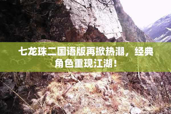 七龙珠二国语版再掀热潮，经典角色重现江湖！
