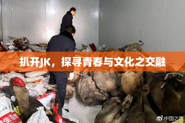 扒开JK，探寻青春与文化之交融