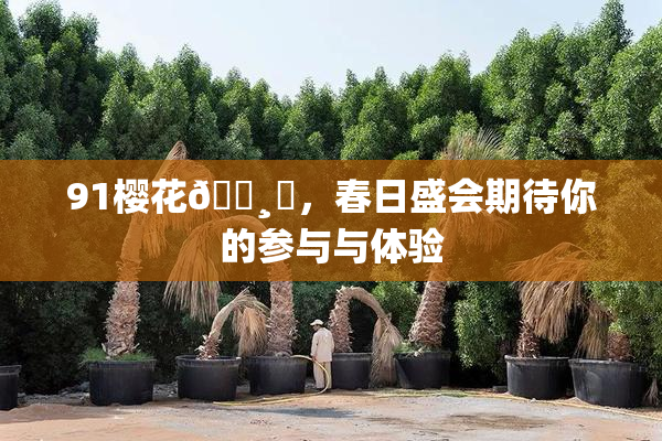 91樱花🌸‌，春日盛会期待你的参与与体验