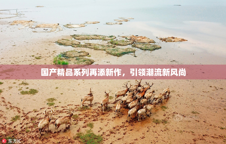 国产精品系列再添新作，引领潮流新风尚