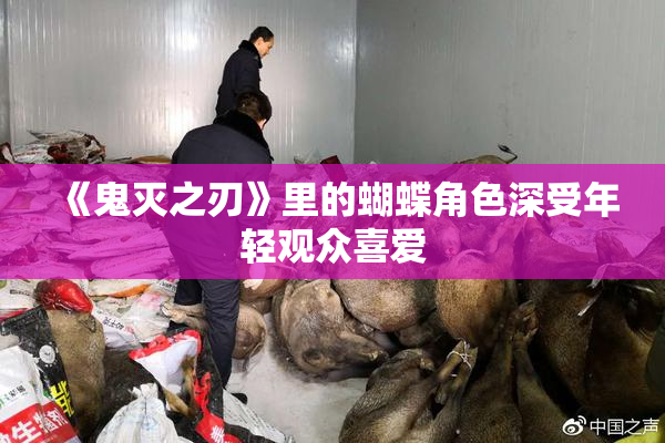 《鬼灭之刃》里的蝴蝶角色深受年轻观众喜爱