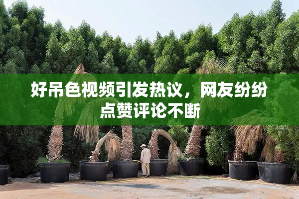 好吊色视频引发热议，网友纷纷点赞评论不断