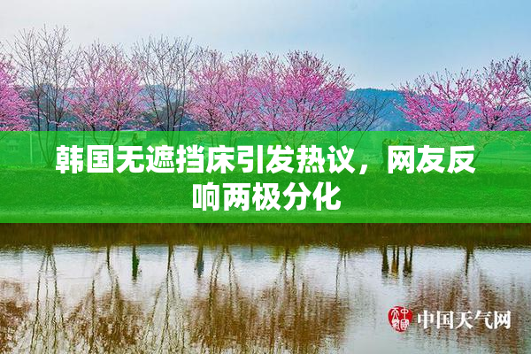 韩国无遮挡床引发热议，网友反响两极分化