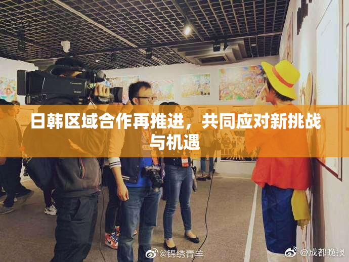 日韩区域合作再推进，共同应对新挑战与机遇