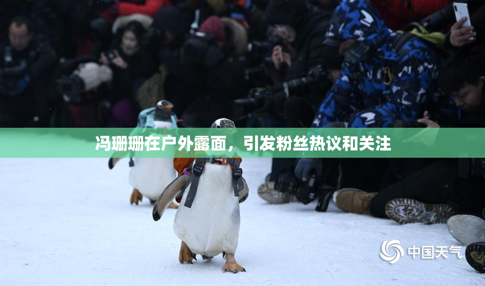 冯珊珊在户外露面，引发粉丝热议和关注