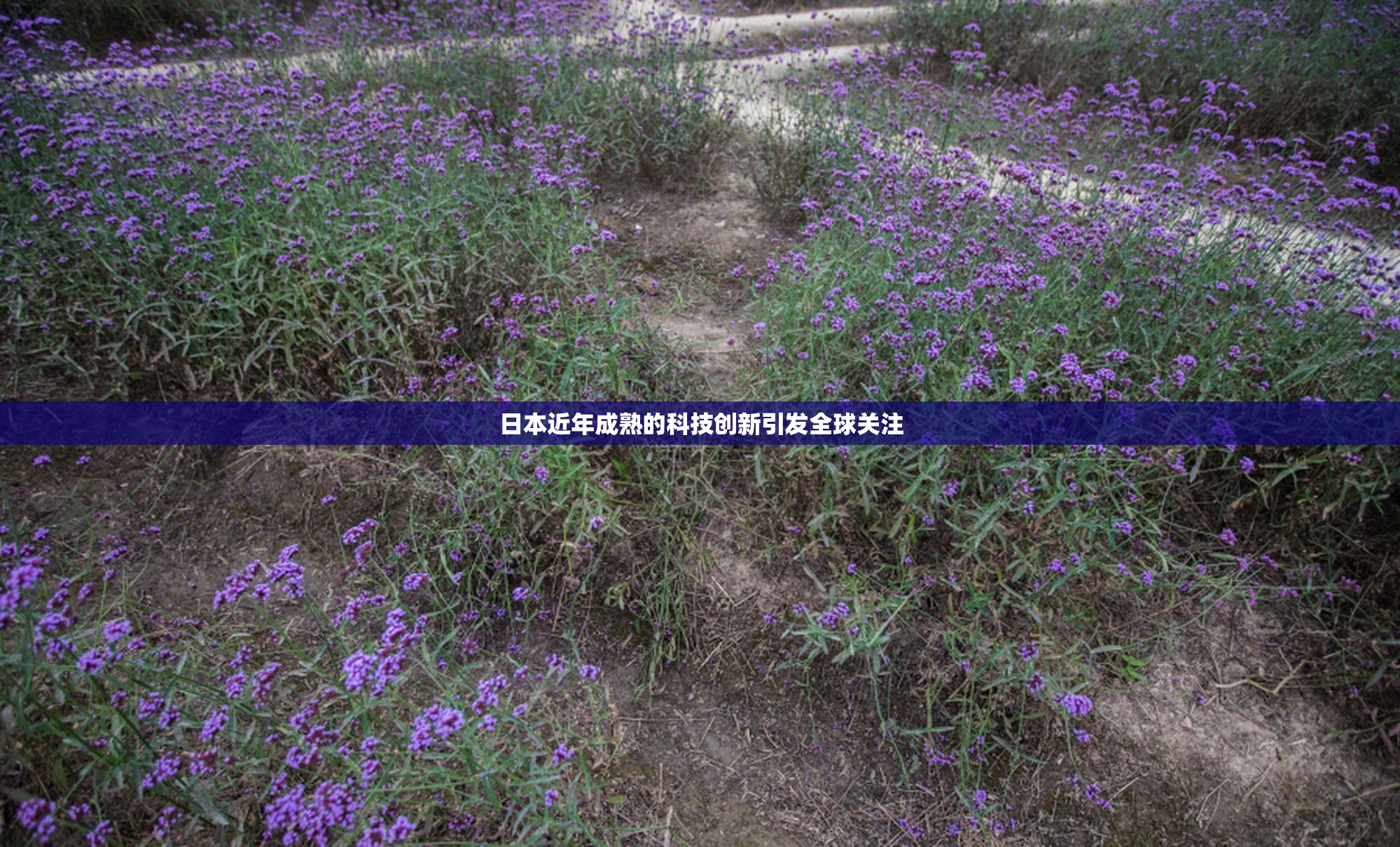 日本近年成熟的科技创新引发全球关注