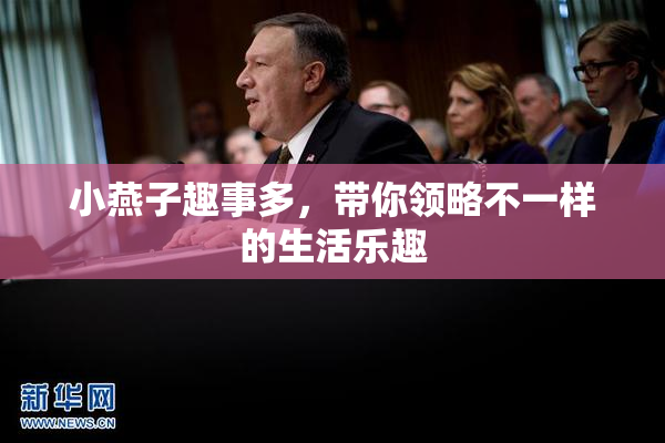 小燕子趣事多，带你领略不一样的生活乐趣
