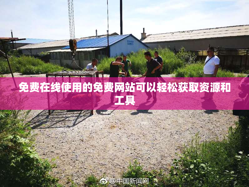 免费在线使用的免费网站可以轻松获取资源和工具