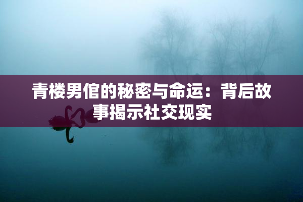 青楼男倌的秘密与命运：背后故事揭示社交现实
