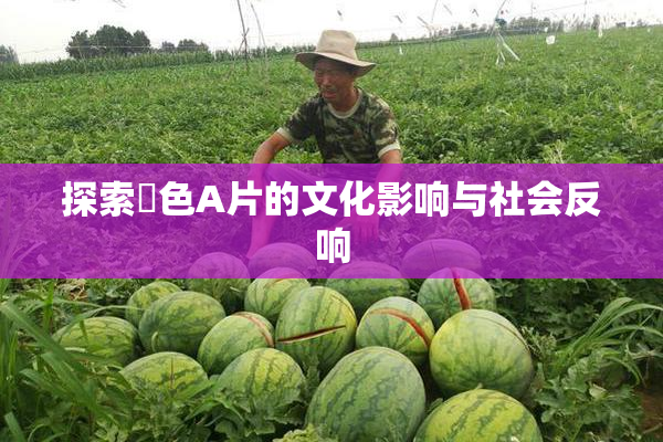 探索黃色A片的文化影响与社会反响