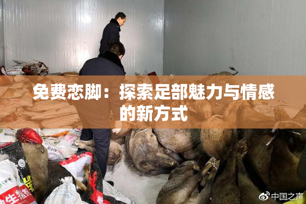 免费恋脚：探索足部魅力与情感的新方式
