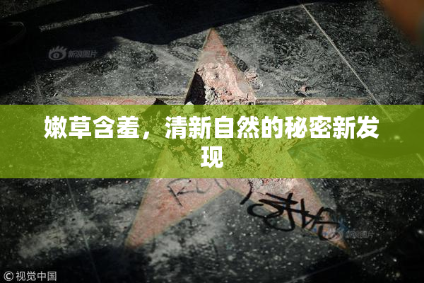 嫩草含羞，清新自然的秘密新发现