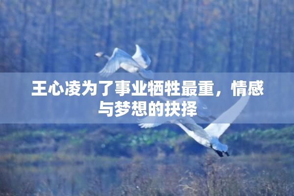 王心凌为了事业牺牲最重，情感与梦想的抉择