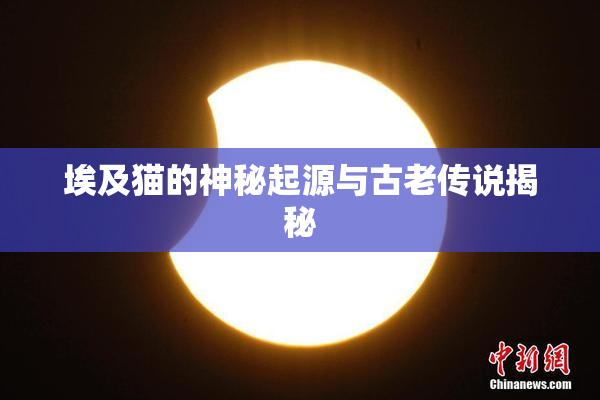 埃及猫的神秘起源与古老传说揭秘