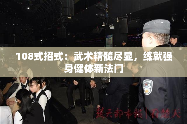 108式招式：武术精髓尽显，练就强身健体新法门