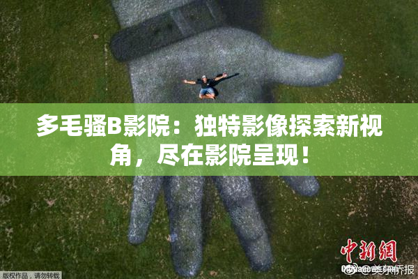 多毛骚B影院：独特影像探索新视角，尽在影院呈现！
