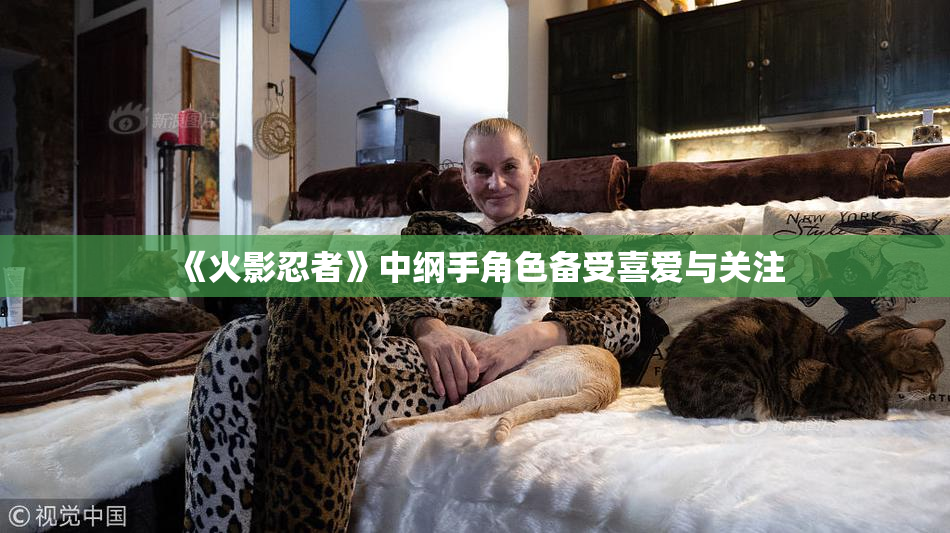 《火影忍者》中纲手角色备受喜爱与关注