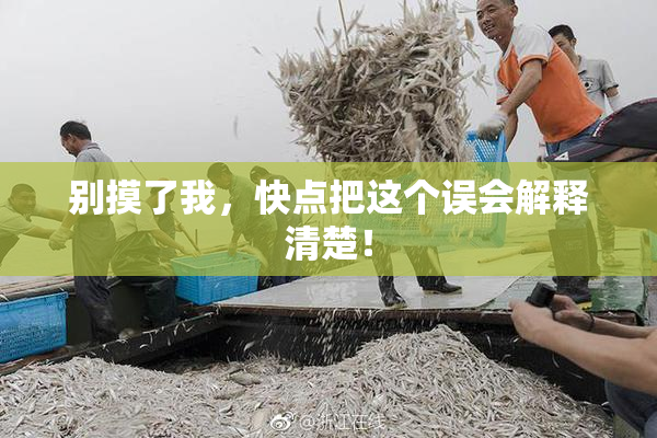 别摸了我，快点把这个误会解释清楚！