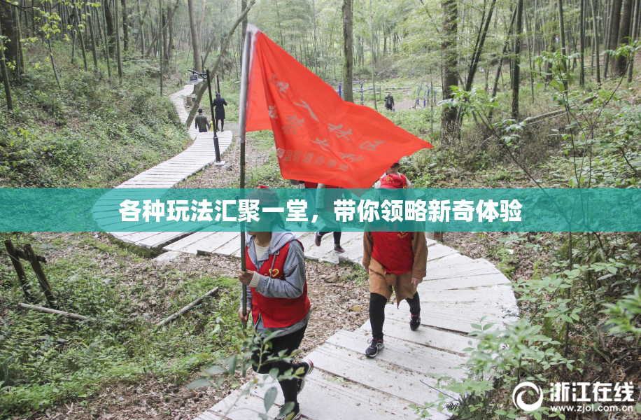 各种玩法汇聚一堂，带你领略新奇体验