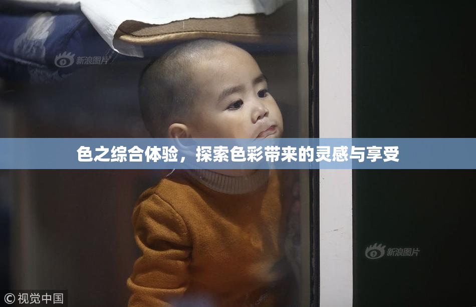 色之综合体验，探索色彩带来的灵感与享受