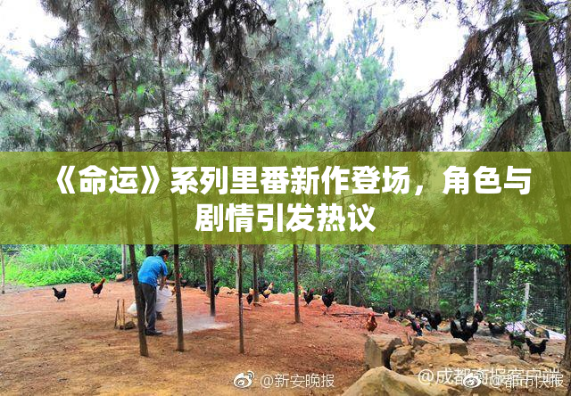 《命运》系列里番新作登场，角色与剧情引发热议